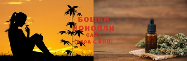 ГАЛЛЮЦИНОГЕННЫЕ ГРИБЫ Пестово