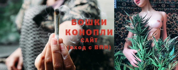 дурь Осинники