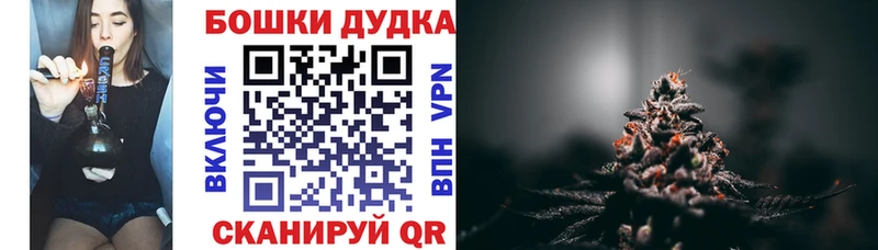 Бошки Шишки гибрид  где купить наркоту  Благовещенск 